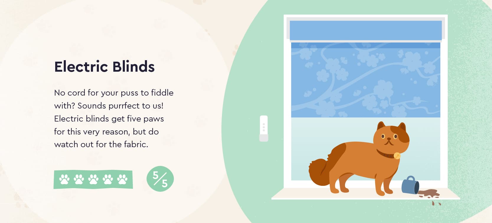 What are the Best Blinds for Cat Owners? Fraser James