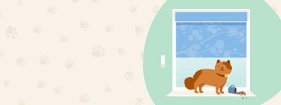 Electric Blinds are great for cat owners