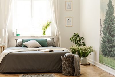 Nature bedroom interior in earth colors with a bed on a wooden floor, an evergreen tree poster on the wall and a bright window in the background.